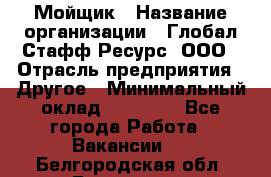 Мойщик › Название организации ­ Глобал Стафф Ресурс, ООО › Отрасль предприятия ­ Другое › Минимальный оклад ­ 30 000 - Все города Работа » Вакансии   . Белгородская обл.,Белгород г.